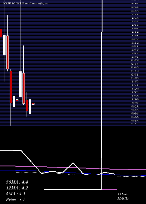  monthly chart ExicureInc