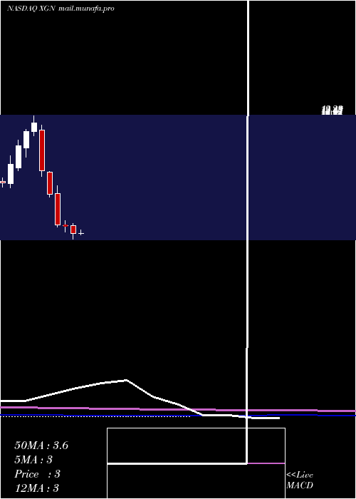  monthly chart ExagenInc