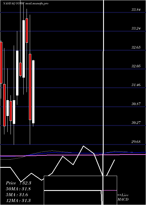  monthly chart YorkWater