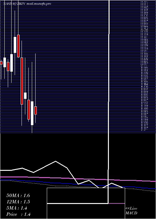  monthly chart ZkInternational