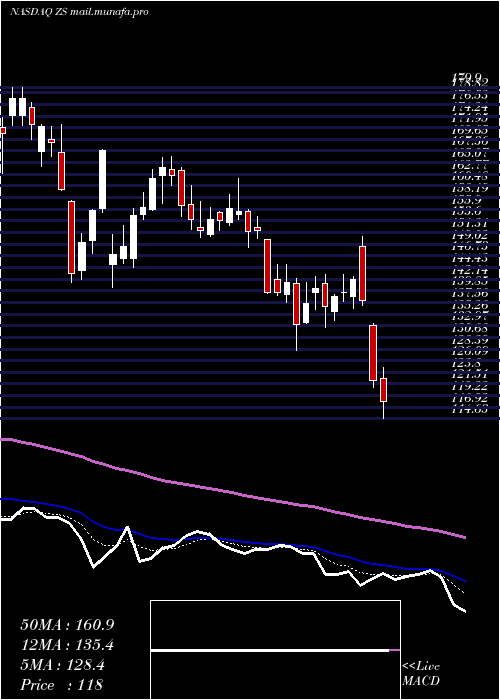  Daily chart ZscalerInc