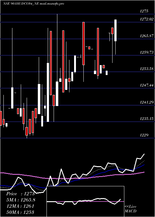  Daily chart 901