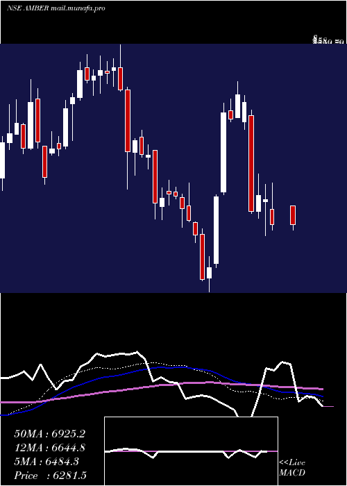  weekly chart AmberEnterprises