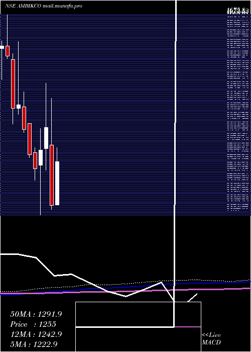  monthly chart AmbikaCotton