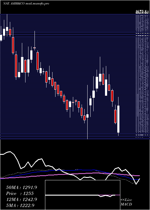  weekly chart AmbikaCotton