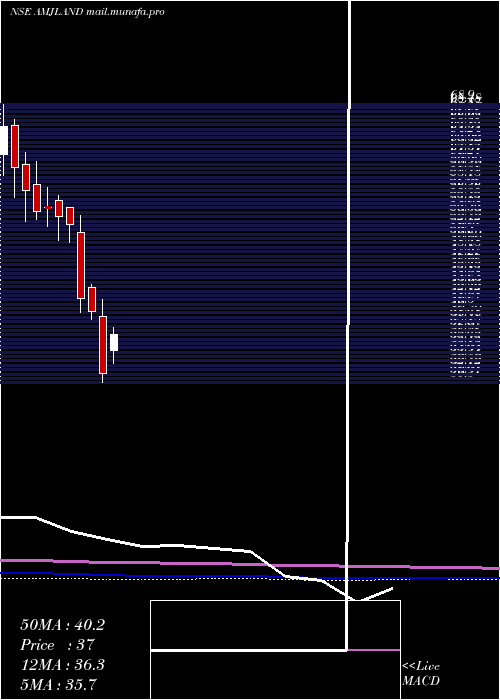  monthly chart AmjLand