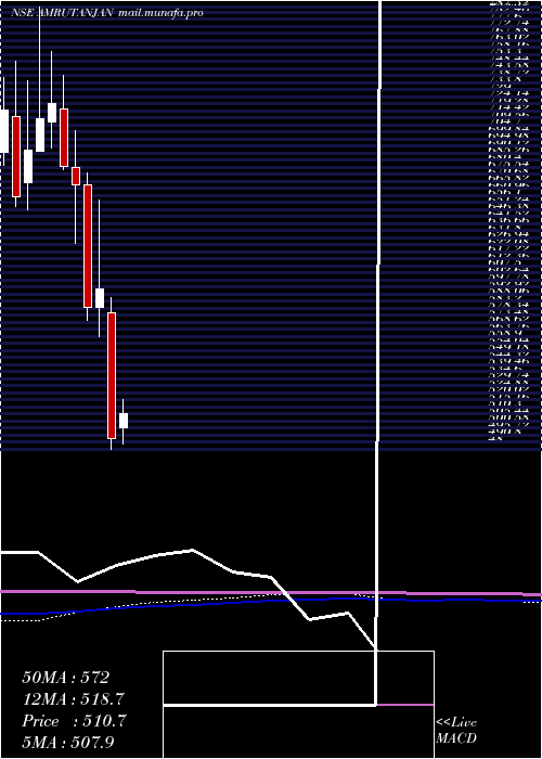  monthly chart AmrutanjanHealth