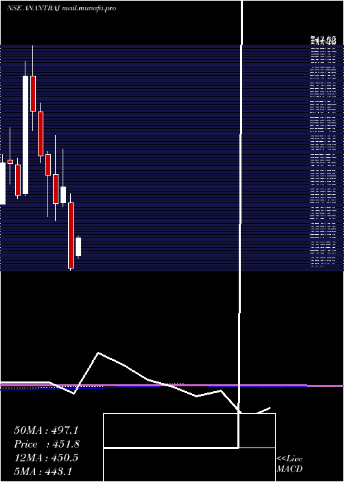  monthly chart AnantRaj