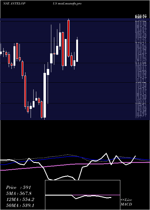  weekly chart AntelopusSelan