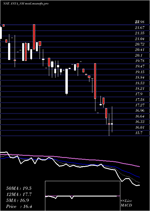  Daily chart AnyaPolytech