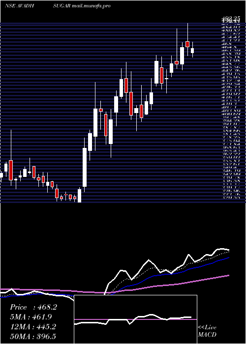  Daily chart AvadhSug