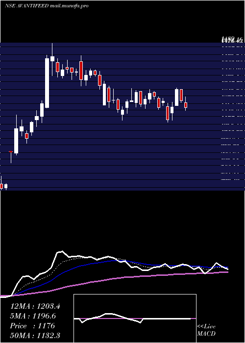  Daily chart AvantiFeeds