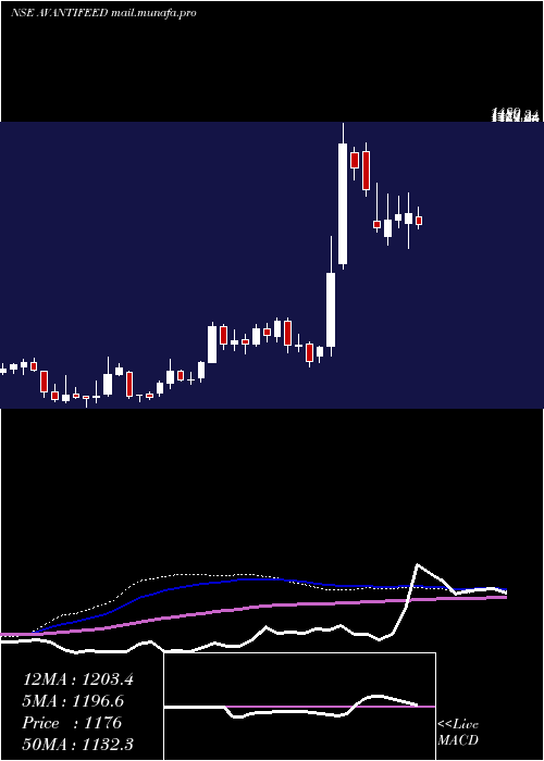  weekly chart AvantiFeeds