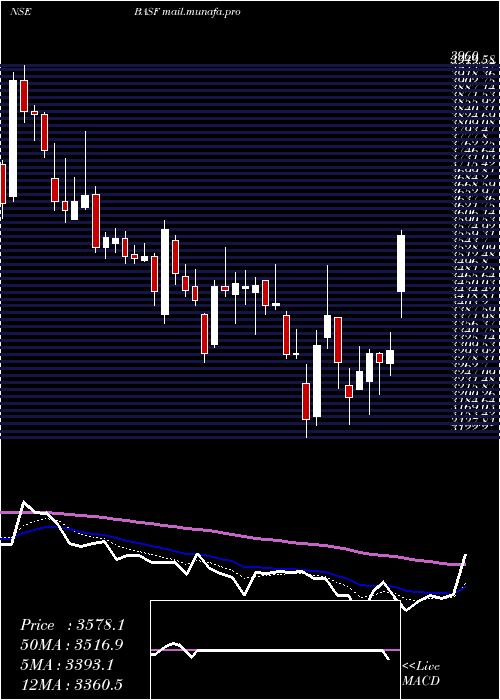  Daily chart BasfIndia
