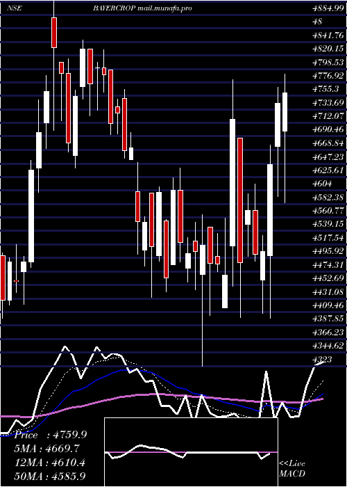  Daily chart BayerCropscience