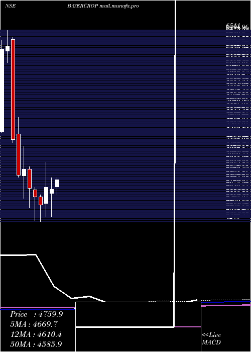  monthly chart BayerCropscience