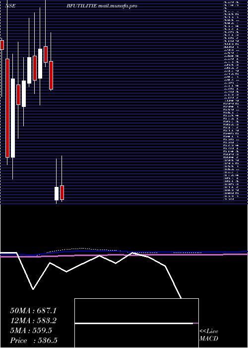  monthly chart BfUtilities
