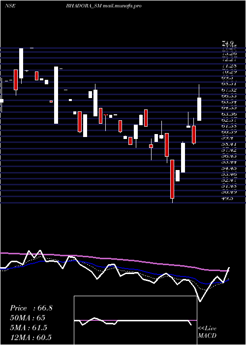  Daily chart BhadoraIndustries