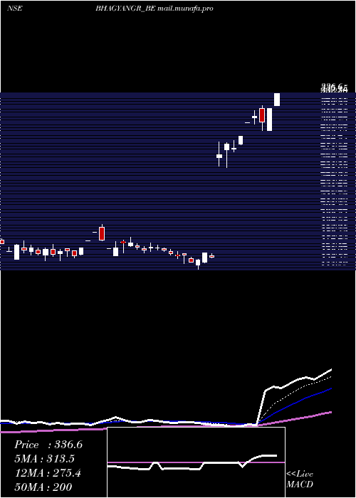  Daily chart BhagyanagarIndia