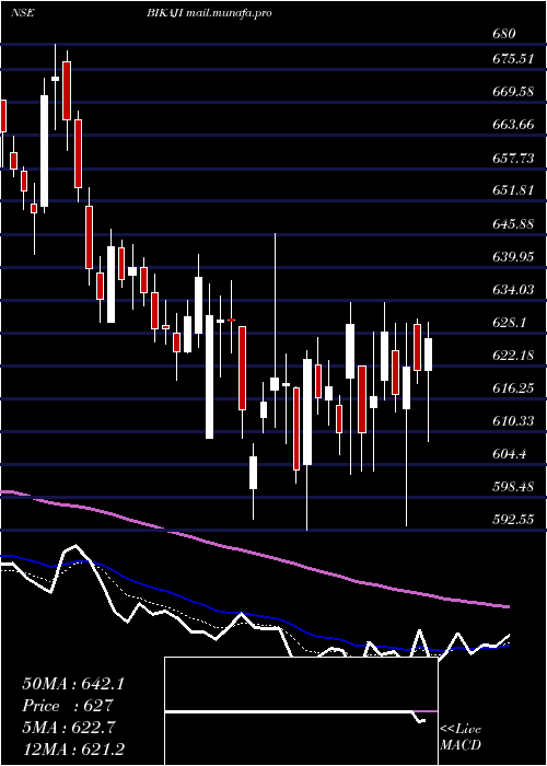  Daily chart BikajiFoods