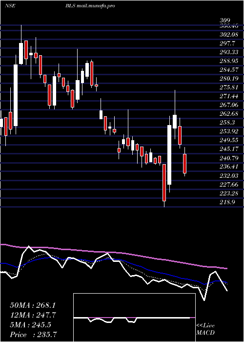  Daily chart BlsInternat