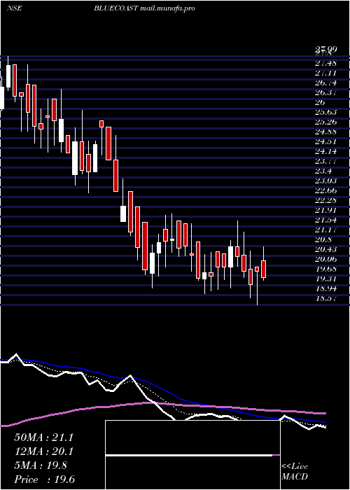  Daily chart BlueCoast