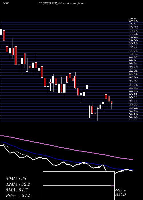  Daily chart BlueCoast