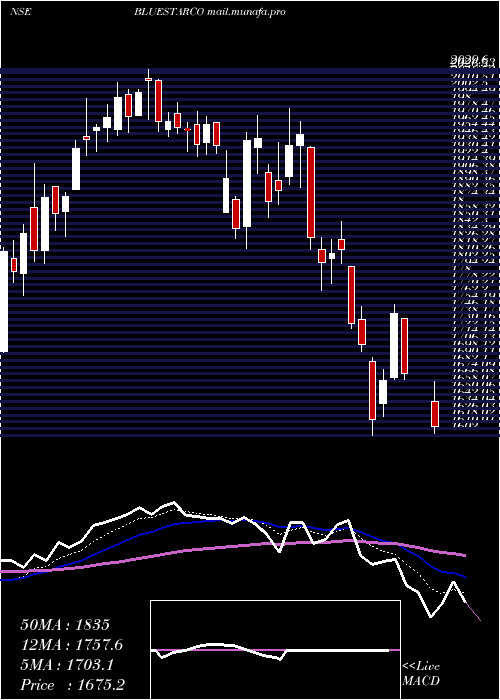  Daily chart BlueStar