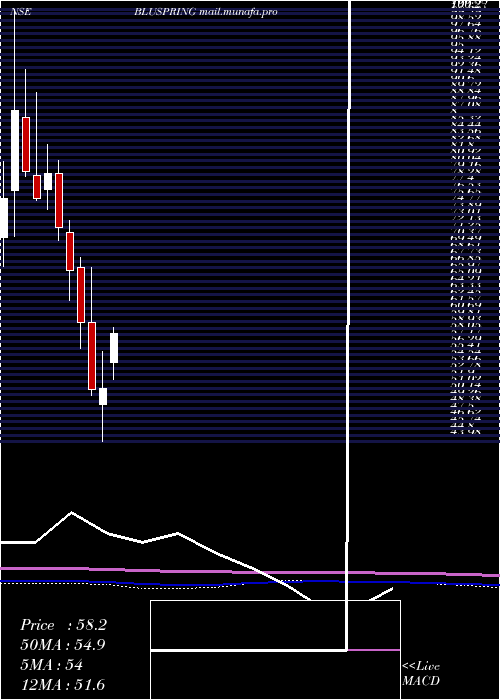  monthly chart BluspringEnterprises