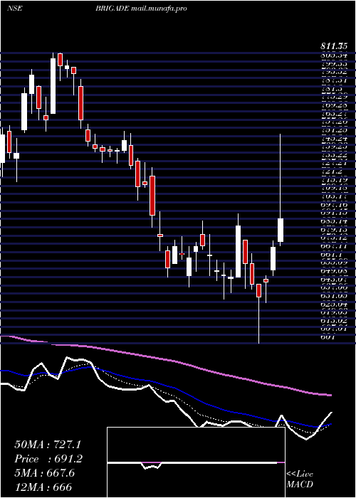  Daily chart BrigadeEnterprises