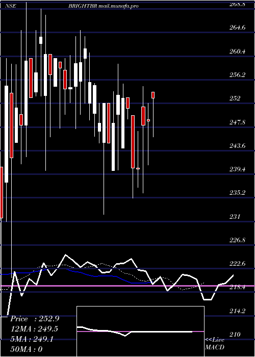  Daily chart BrightBrothers