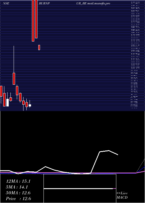  monthly chart BurnpurCement