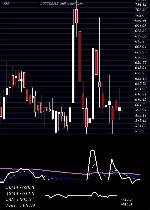 Daily chart ButterflyGandhimathi