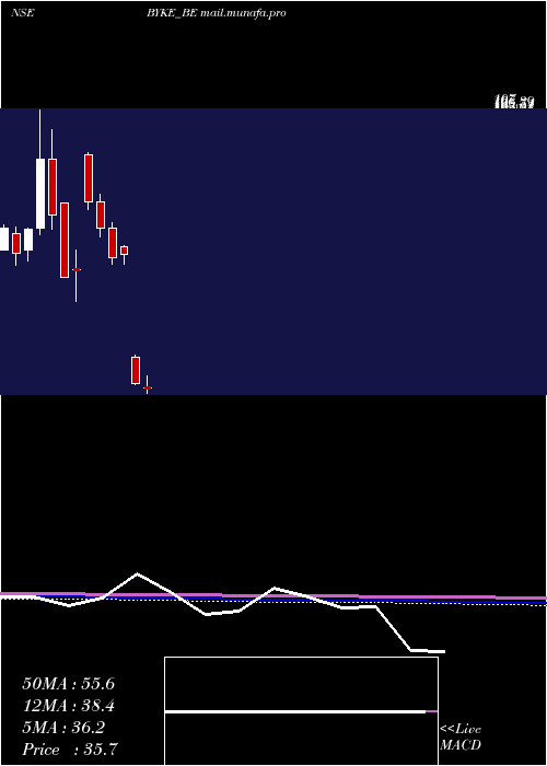  monthly chart BykeHospitality