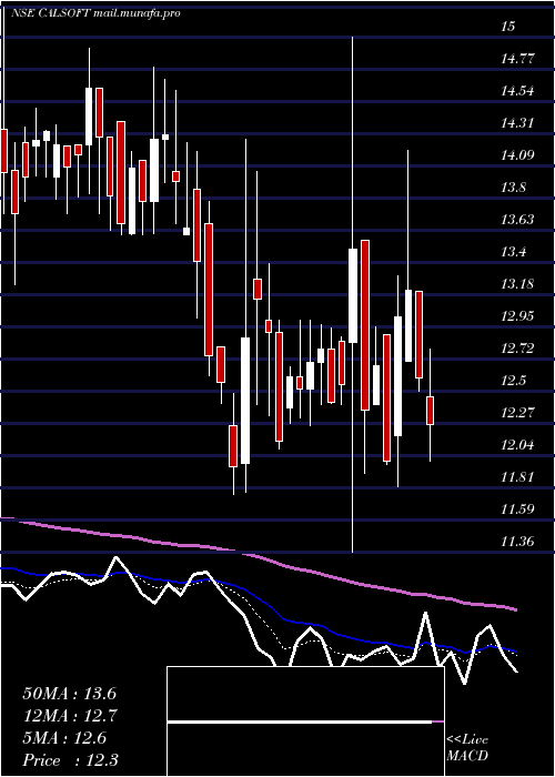  Daily chart CaliforniaSoftware