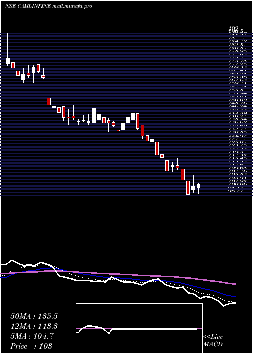 Daily chart CamlinFine