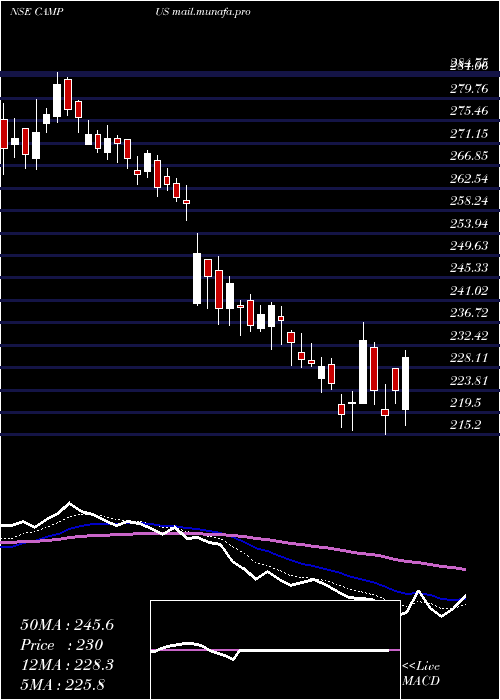  Daily chart CampusActivewear