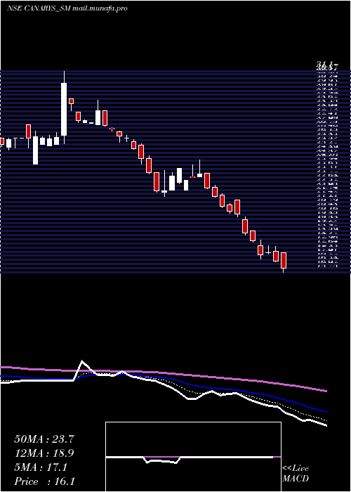  Daily chart CanarysAutomations