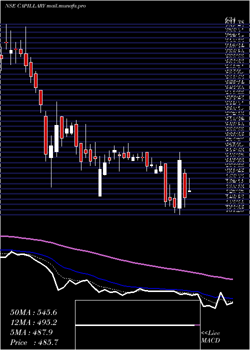  Daily chart CapillaryTechno