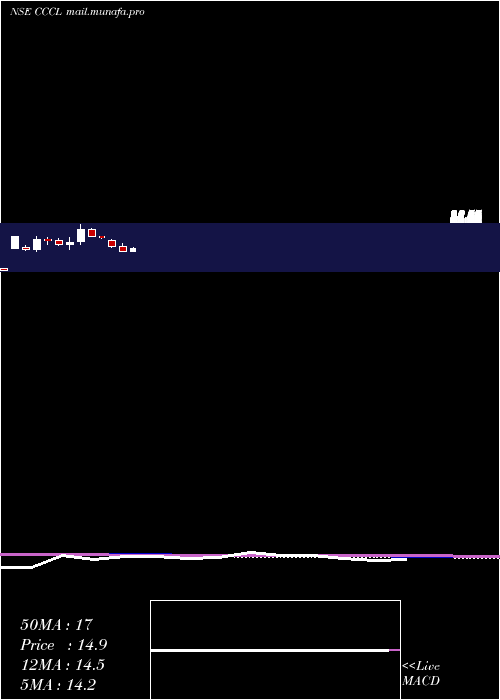  monthly chart ConsolidatedConstruction