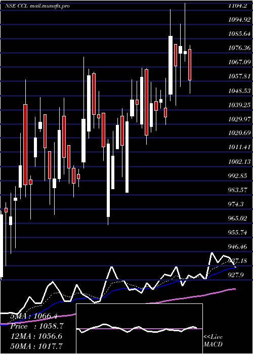  Daily chart CclProducts