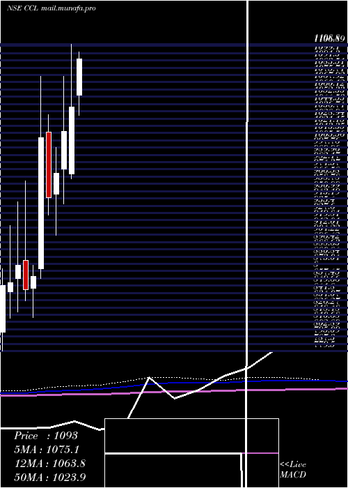  monthly chart CclProducts