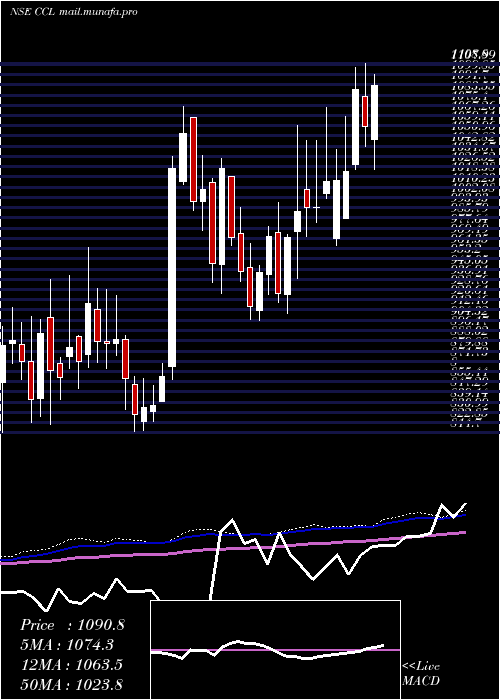  weekly chart CclProducts