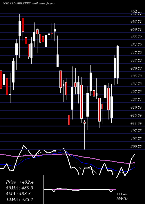  Daily chart ChambalFertilizers