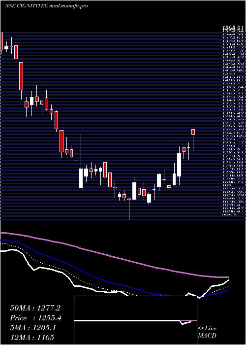  Daily chart CignitiTechnologies