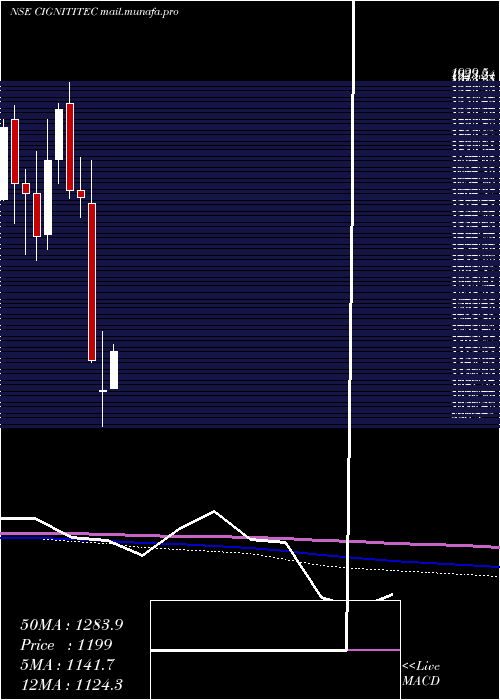  monthly chart CignitiTechnologies