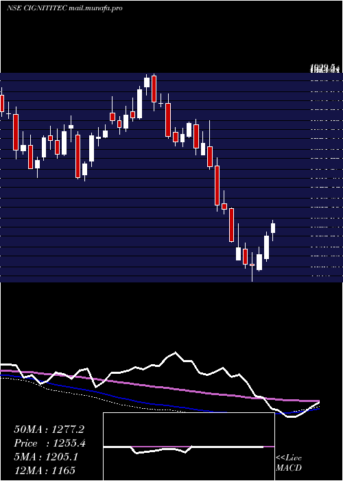  weekly chart CignitiTechnologies