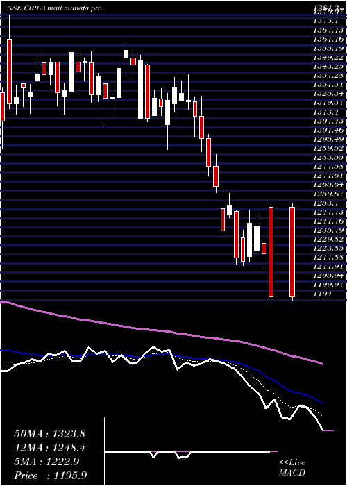  Daily chart Cipla