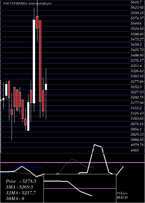  Daily chart JohnCockerill