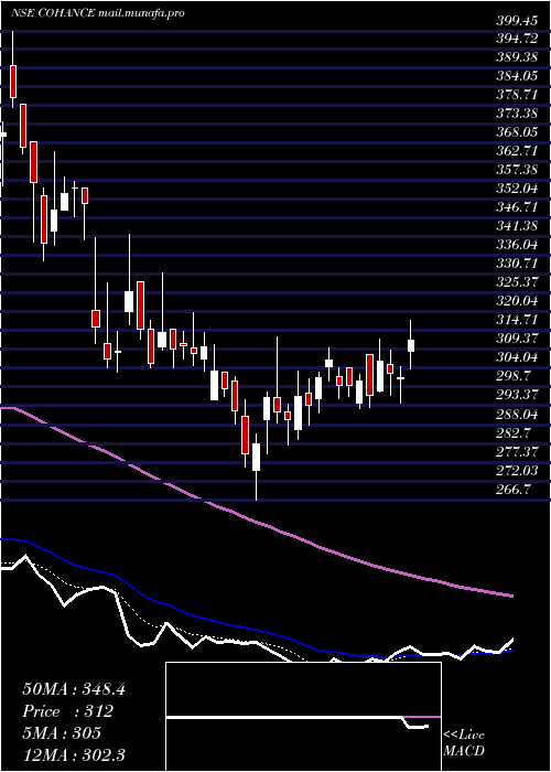 Daily chart CohanceLifesciences